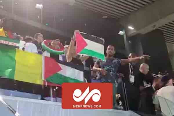 VIDEO: Rising Palestine flag at 2024 Olympic games