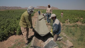 اجرای طرح الگویی بتن پارچه ای برای اولین بار در کشور