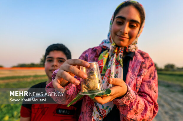 مزرعه خانوادگی 10