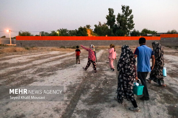 مزرعه خانوادگی 16