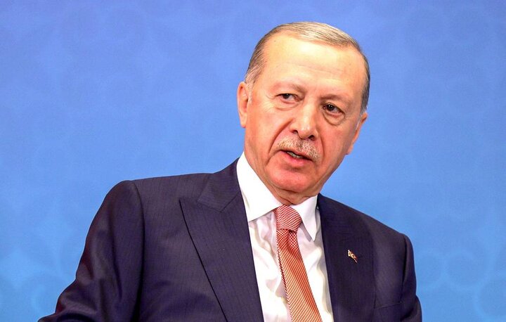 Erdogan warns that Turkey may enter Israel