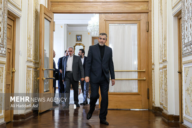 دیدار وزیر امور خارجه آفریقای جنوبی با «علی باقری کنی» سرپرست وزارت خارجه