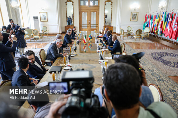 دیدار وزیر امور خارجه آفریقای جنوبی با «علی باقری کنی» سرپرست وزارت خارجه