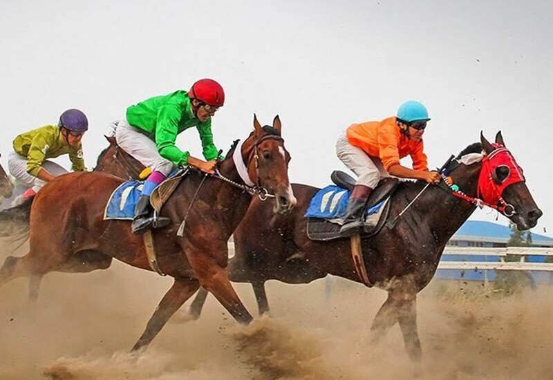 اسب‌های خراسان شمالی در بندر ترکمن درخشیدند