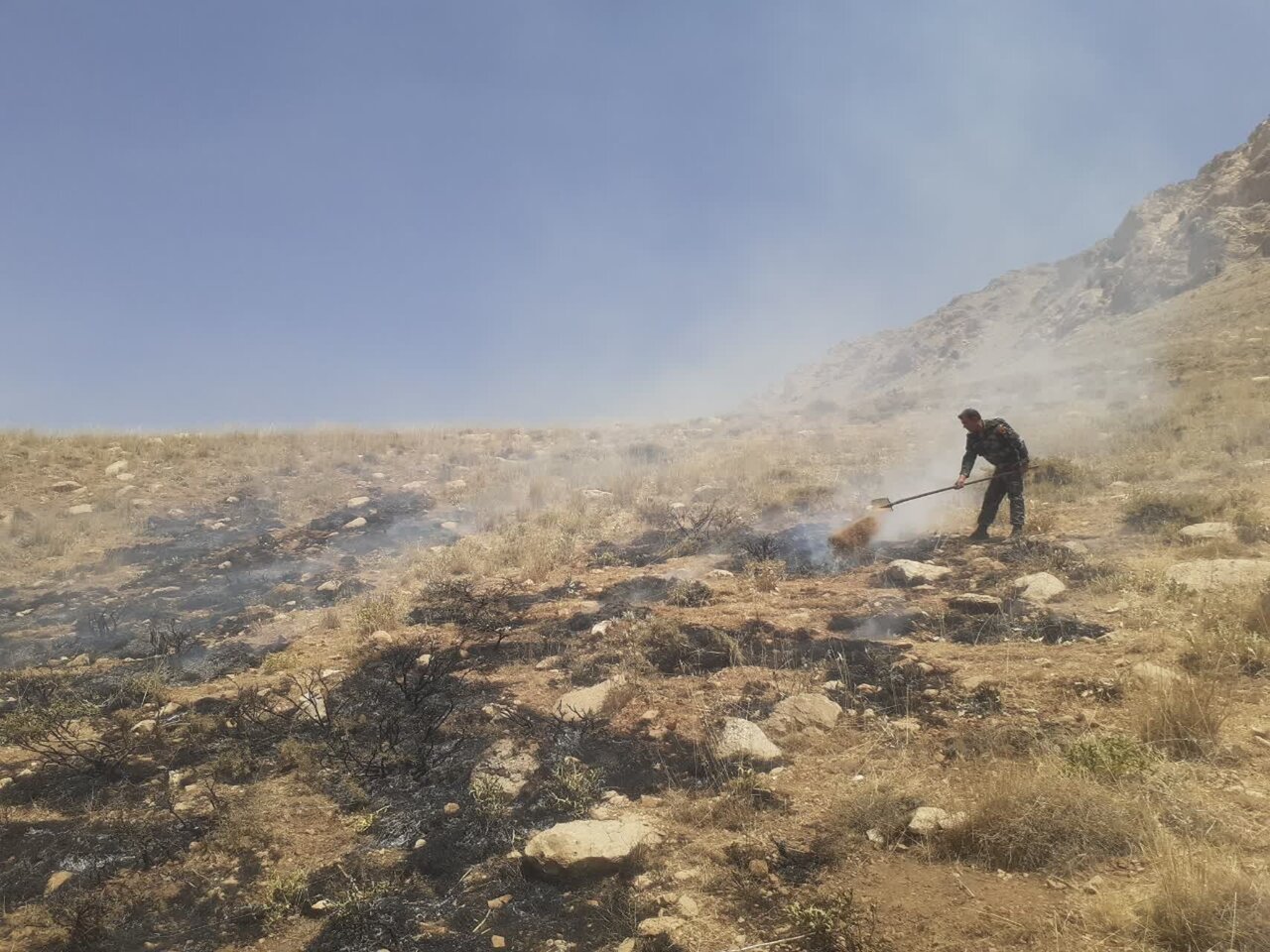 آتش‌سوزی در مراتع سمیرم/لاک‌پشت در آتش سوخت