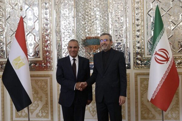 Egypt FM meets with Ali Bagheri Kani