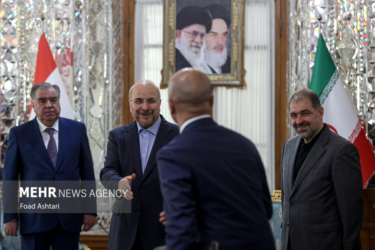 دیدارهای امروز رئیس مجلس شورای اسلامی با مهمانان مراسم تحلیف