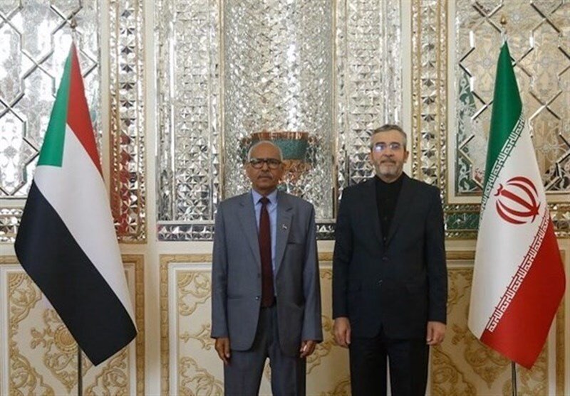 باقري كني يؤكد على فتح آفاق جديدة لتعزيز العلاقات الايرانية السودانية