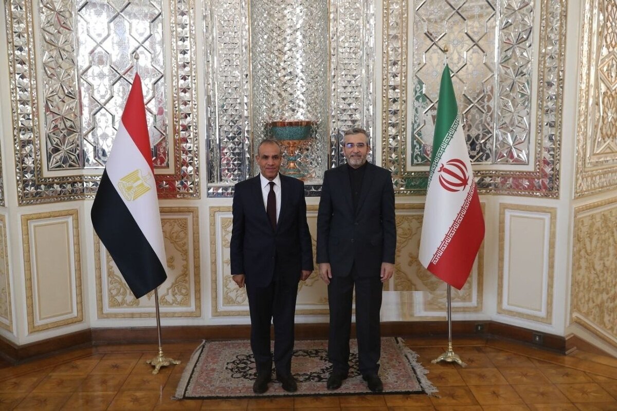 وزیر امور خارجه مصر با «باقری» دیدار کرد