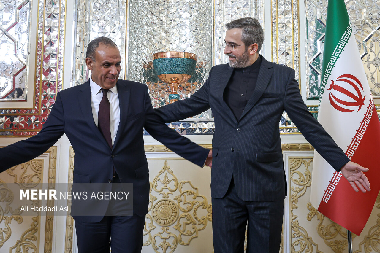 دیدار وزیر خارجه کشور مصر با سرپرست وزارت امورخارجه ایران
