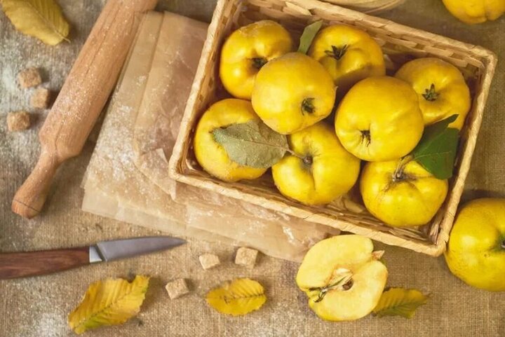 سوغاتیهای بهشتی در یخچال خانهها سوغاتیهای بهشتی در یخچال خانهها