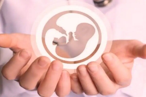 طب ایرانی چگونه شانس بارداری را افزایش میدهد؟