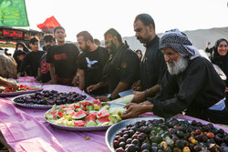 تقرير مصور...زوار ابا عبدالله الحسين عليه السلام في طريقهم إلى الشلامجة