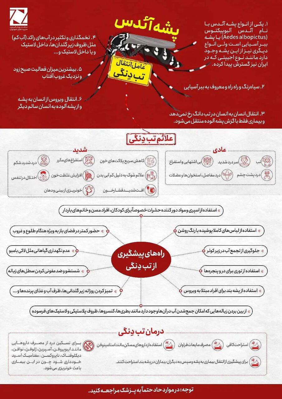 توصیههای سازمان مدیریت بحران تهران برای پیشگیری از تب دنگی
