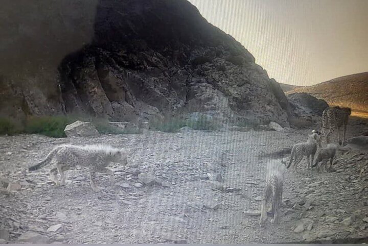 ۱۳ گوهر طبیعی در ایران؛ «توران شاهرود» بزرگترین گنجینه طبیعی کشور است