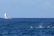 رقص نهنگ در بازی‌های موج سواری المپیک + فیلم