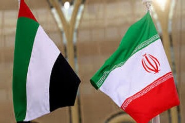 UAE eyes investing in Iran's cooperatives sector: envoy