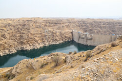 ۲۱ درصد ظرفیت سدهای استان بوشهر پر شده است