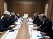 Iran sees no limits to expanding ties with Africa