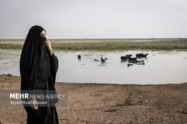 از شوشتر تا کربلا