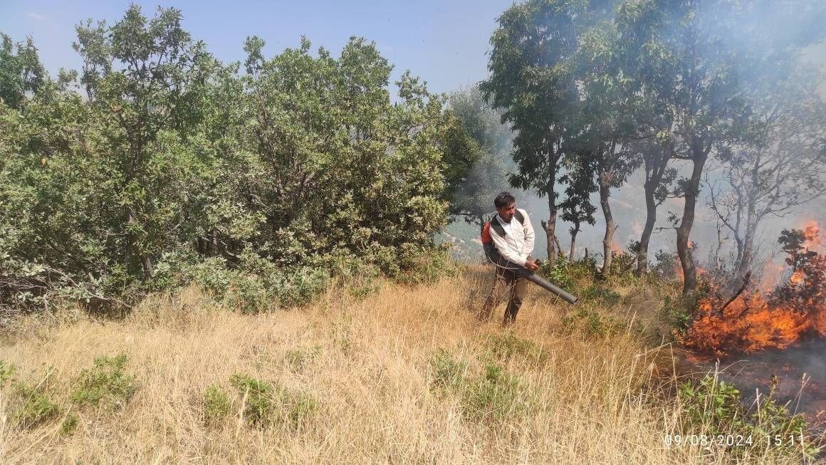 آتش سوزی گسترده در جنگل‌های گلک شهرستان پیرانشهر کنترل و اطفا شد