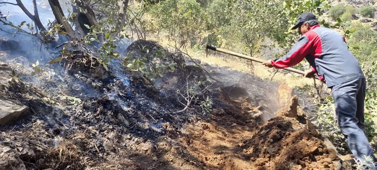 نابودی جانپناه گیاهان کردستان/۱۲۴۷هکتار اراضی جنگل در آتش سوخت