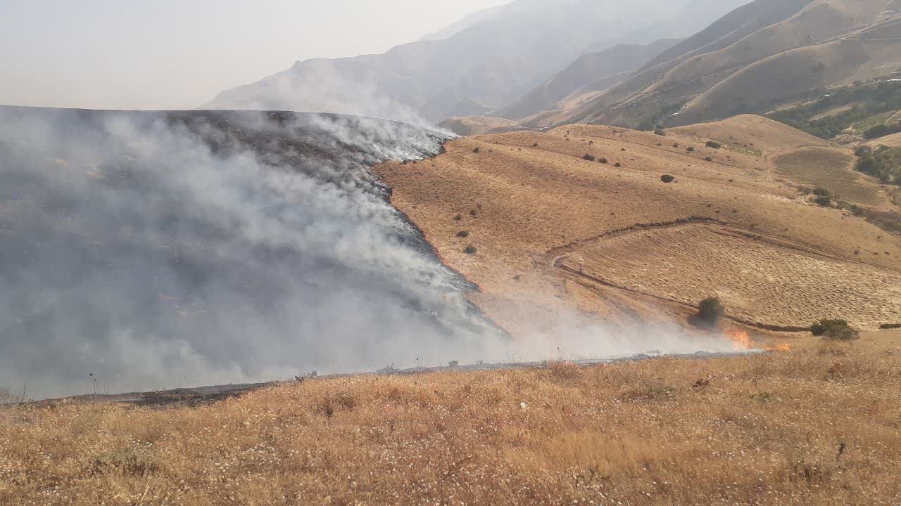 نابودی جانپناه گیاهان کردستان/۱۲۴۷هکتار اراضی جنگل در آتش سوخت