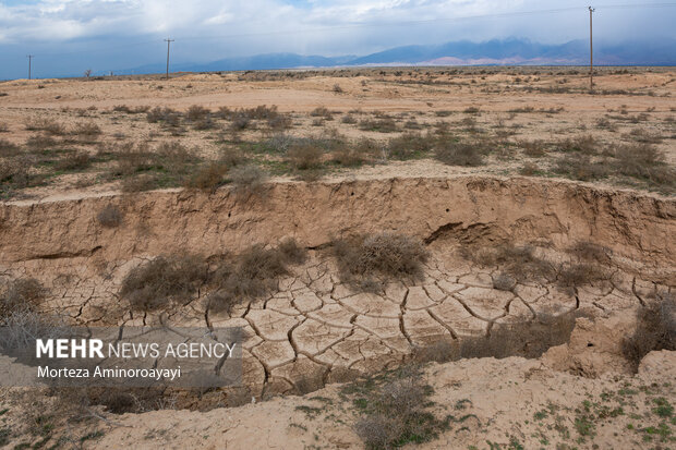 قزوین دربند مرگ مایه حیات؛ لزوم اقدامات فوری برای برون رفت از خشکسالی