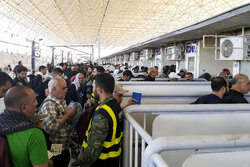 550,000 pilgrims traveled to Iraq by land: Traffic police