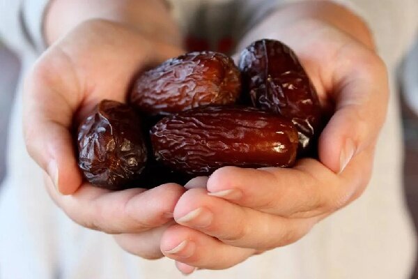 کیفیت بالای محصول نخلستانهای بوشهر/ این خرما به جهان معرفی شود