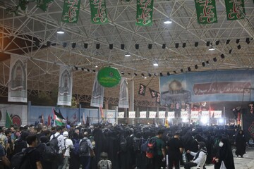 VIDEO: Arbaeen pilgrims passing through Mehran border