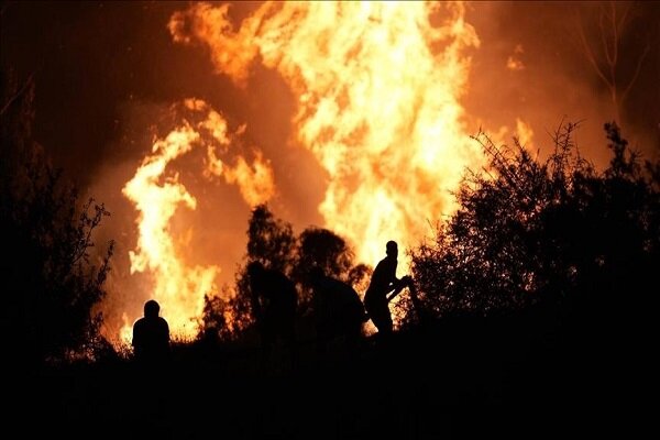 آتش سوزی مرگبار در جنگلهای ترکیه/ تاکنون ۷۸ نفر مصدوم شدهاند آتش سوزی مرگبار در جنگلهای ترکیه/ تاکنون ۷۸ نفر مصدوم شدهاند