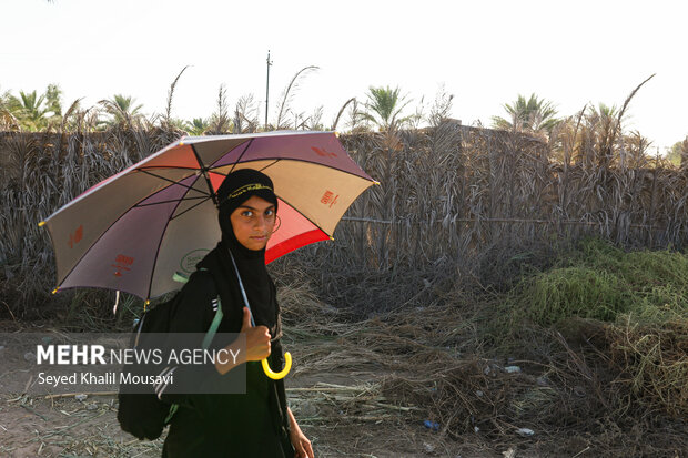 Arbaeen pilgrims on Sabaya road towards Karbala