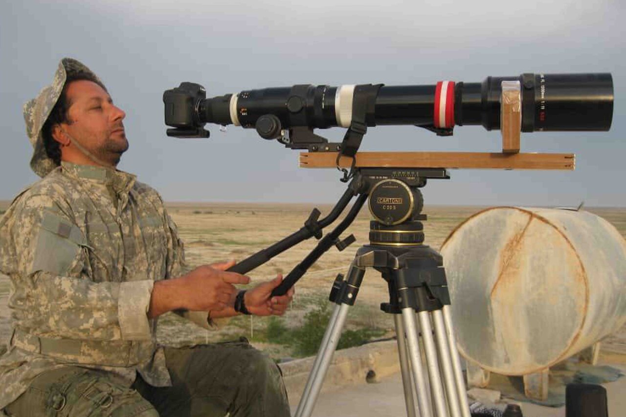 «آخرین کوسه نهنگ» وارد انگلیس میشود/ کمکاری در حوزه محیط زیست