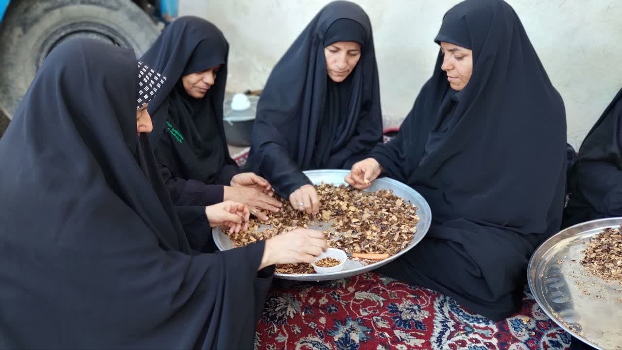 برپایی موکب امام رضا (ع) 