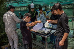 خدمت‌رسانی ستاد اجرایی فرمان امام به زائران اربعین در مرز خسروی