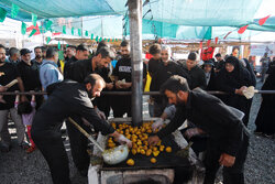 خاک پای زائران توتیای چشم ماست/ درس دلدادگی در مکتب آزادگی