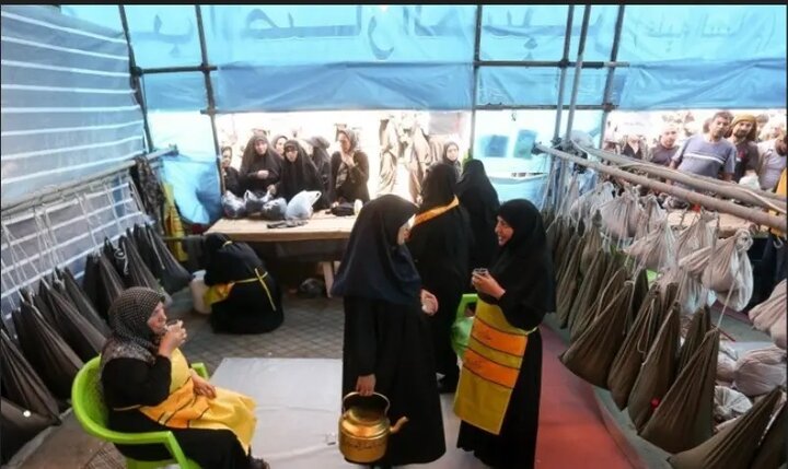 بارانداز شپش در مدارس خراسان شمالی؛ شیوع شپش در بین دختران دانش آموز بارانداز شپش در مدارس خراسان شمالی؛ شیوع شپش در بین دختران دانش آموز