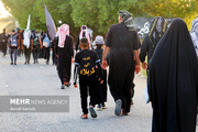 5 million pilgrims have traveled to Iraq for Arbaeen: media