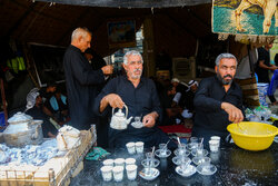 فعالیت موکب آستان مقدس «زبیده خاتون» در کربلا