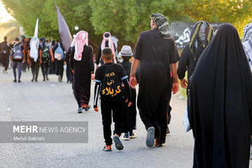 5 million pilgrims have travelled to Iraq for Arbaeen: media