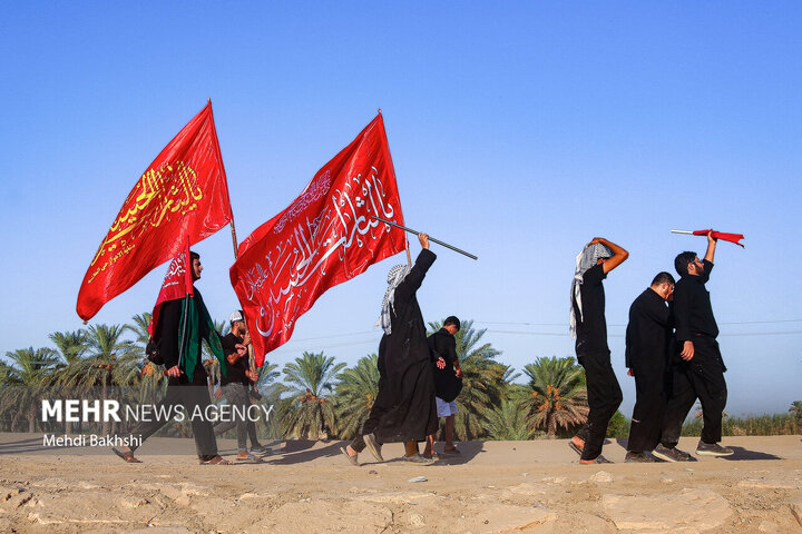  زيارة الاربعين على طريق الحسين