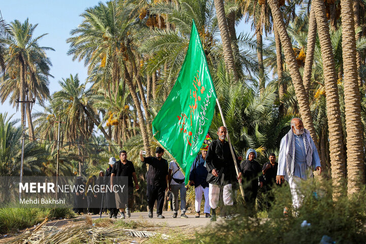  زيارة الاربعين على طريق الحسين