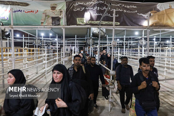 VIDEO: Pilgrims at Shalamcheh border crossing on Arbaeen day