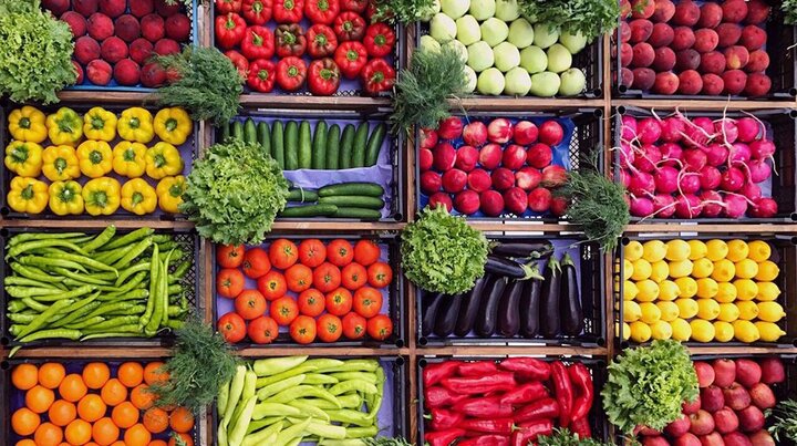 Iran’s export of agricultural products up 26% in H1: IRICA Iran’s export of agricultural products up 26% in H1: IRICA