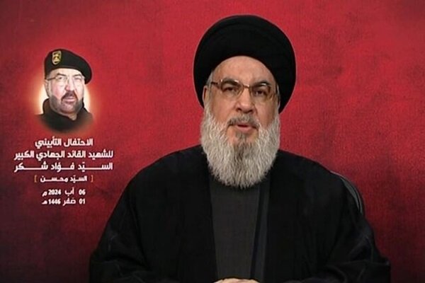 Hezbollah targeted Israeli regime's strategic depth