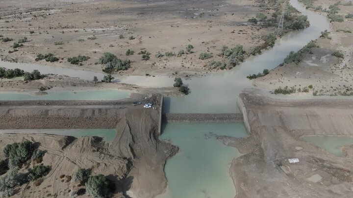 تولید ۳.۵ میلیون اصله نهال در هرمزگان با مشارکت مردم