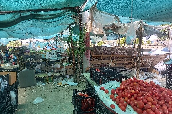 آغاز ساماندهی دستفروشان ورودی و خروجی شهر بندرعباس