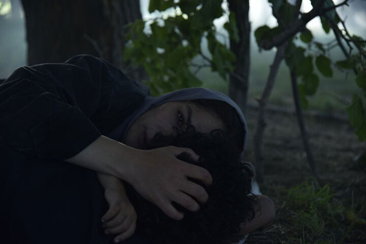 «در آغوش درخت» راهی اکران آنلاین شد