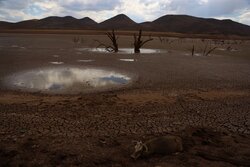 خشکسالی ۱۳ شهرستان مازندران طی یک دهه